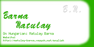 barna matulay business card
